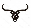 ORIGINDIA LLC