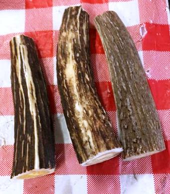 ORIGINDIA Authentic India Sambar Stag Tapers for Knife Handle Lenght approx 5