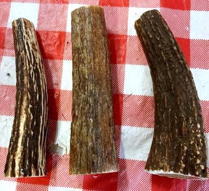 ORIGINDIA Authentic India Sambar Stag Tapers for Knife Handle Length approx 5
