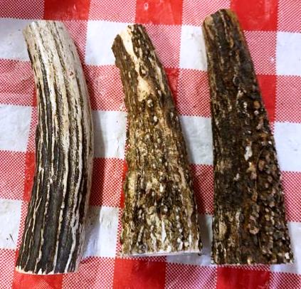 ORIGINDIA Authentic India Sambar Stag Tapers for Knife Handle Length approx 5